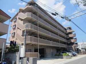 エル・ピノ岸和田外観写真