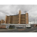 ﾗｲｵﾝｽﾞﾏﾝｼｮﾝ泉北忠岡(602)