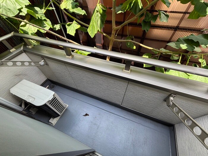 物件内観写真19　(ベランダ・バルコニー)