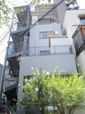 マンションピジョン