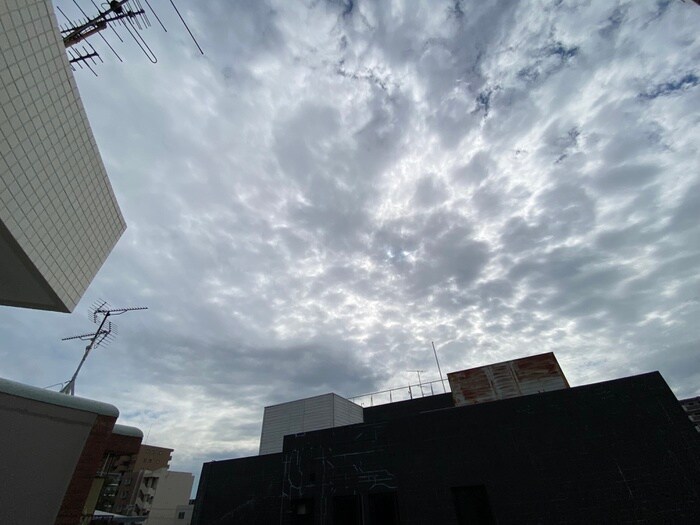 物件内観写真19　(室内からの展望)