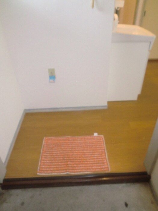 物件内観写真4　(玄関)