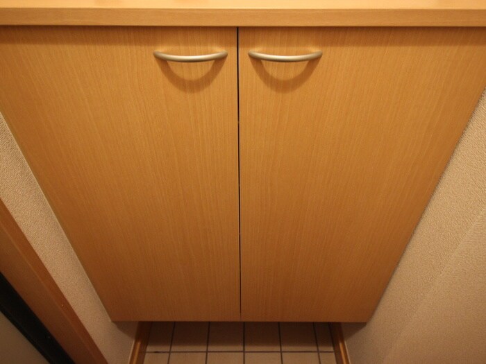 物件内観写真18　(靴箱)