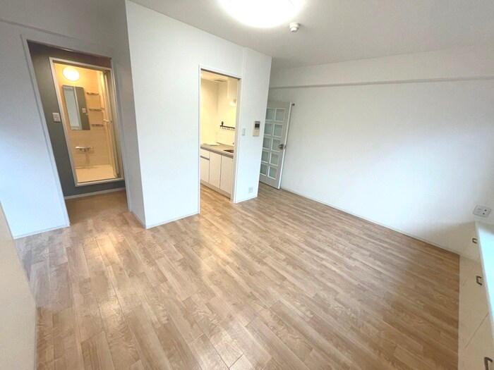 物件内観写真13　(廊下)