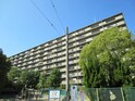 日興千里丘ｽｶｲﾏﾝｼｮﾝＢ棟(807)