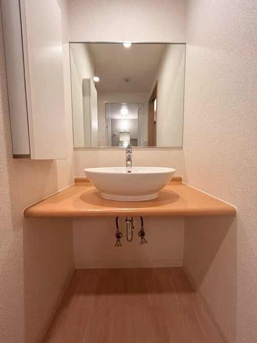 物件内観写真12　(洗面)