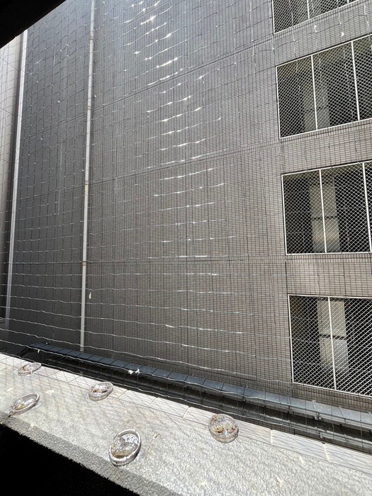 物件内観写真13　(室内からの展望)