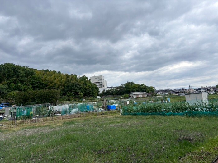 物件内観写真16　(室内からの展望)