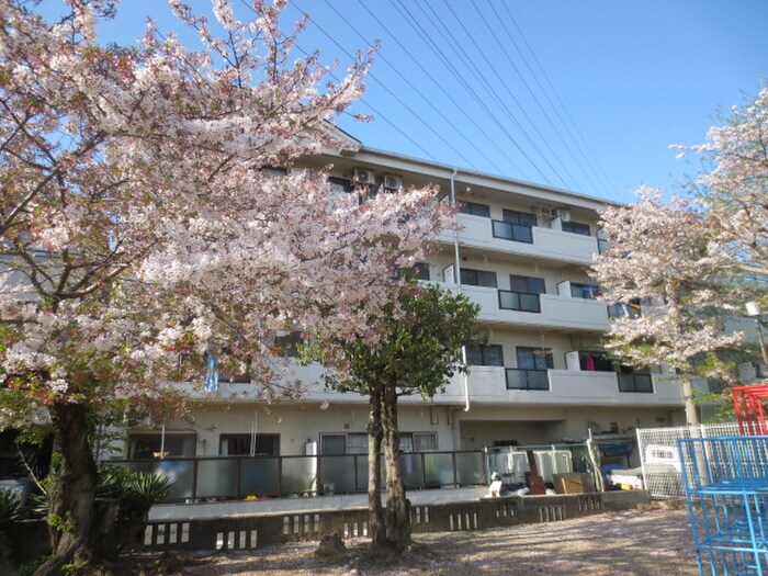 物件外観写真5　(外観写真)