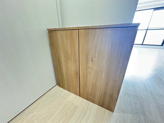 物件内観写真21　(靴箱)