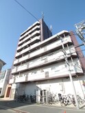 アミル⑦
