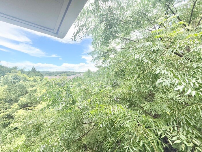 物件内観写真22　(室内からの展望)