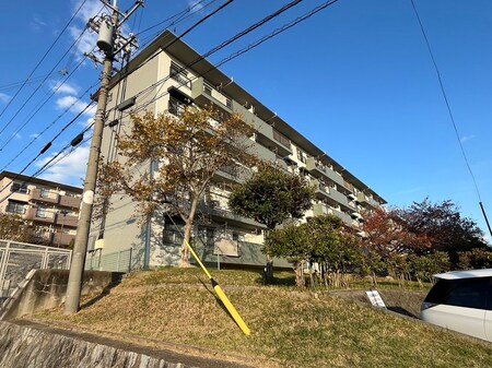 男山第二住宅１０４棟（４０３）外観写真