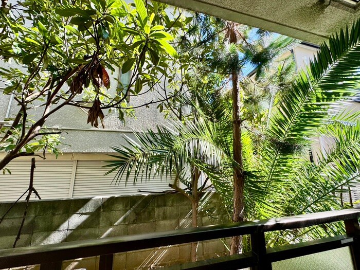 物件内観写真17　(室内からの展望)