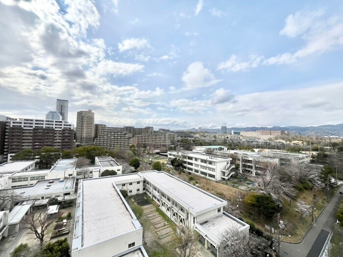 物件内観写真17　(室内からの展望)