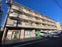 ポインセチア