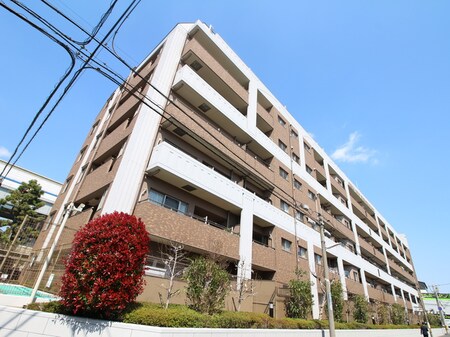 セレッソコ－ト住吉川公園外観写真