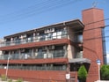 マキシム吹田