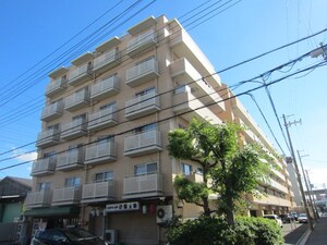 ダイアパレス新石切(313)外観写真
