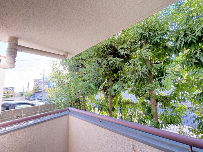 物件内観写真22　(室内からの展望)