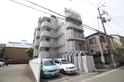 シロハイヌ武庫之荘