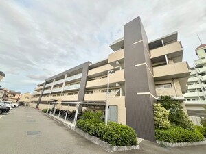 Ｚａｃｃｉｆｆｕ外観写真
