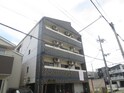 レジェンドカサリマ