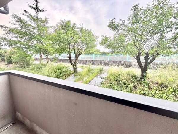 室内からの展望