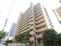 ﾗｲｵﾝｽﾞﾏﾝｼｮﾝ住吉万代東(503)
