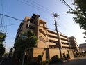 ｽﾃｲﾂ芦屋ﾌﾟﾗｲﾏﾘｰｺｰﾄ(104)