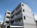 バウハウス