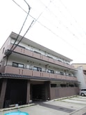 ブライトマーチ　タナカ
