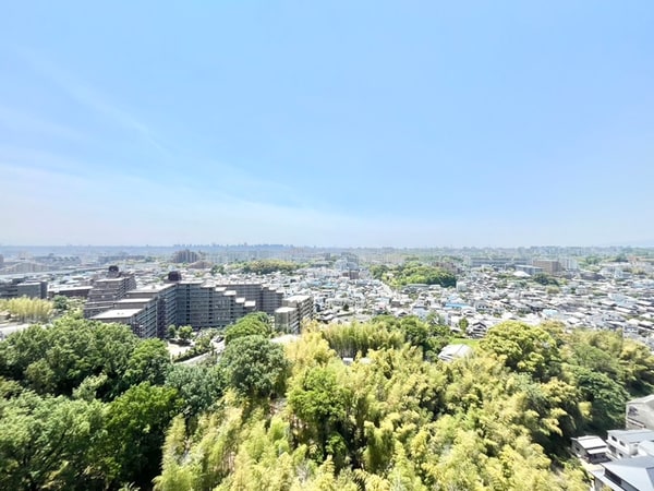 室内からの展望