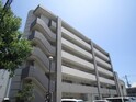 ル－セント菅原