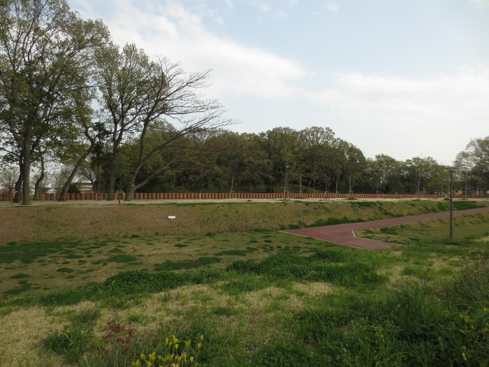 物件内観写真11　(周辺環境)