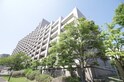 ﾋﾙﾄｯﾌﾟｺｰﾄｼﾞｪｰﾑｽ山(511)