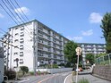 千里桃山台ｾﾝﾄﾎﾟﾘｱ（707）