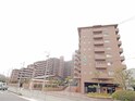 メゾンドール堺（1415）