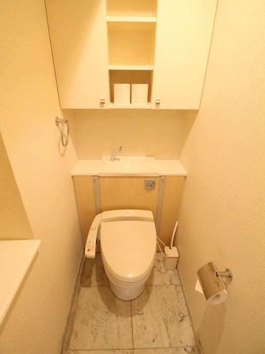 物件内観写真9　(トイレ)