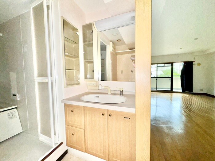 物件内観写真5　(洗面)