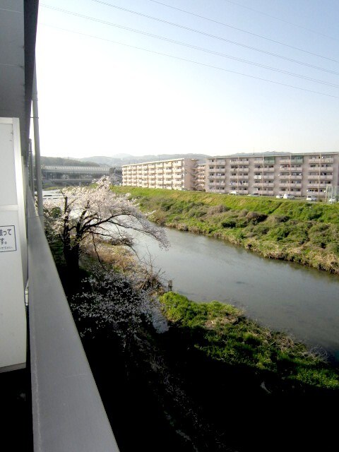 物件内観写真16　(室内からの展望)