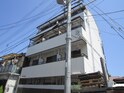 マウス９６