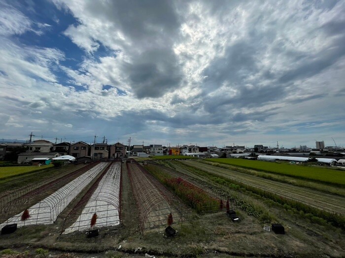 物件内観写真22　(室内からの展望)