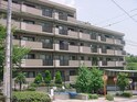 東急ﾄﾞｴﾙ･ｱﾙｽ西宮越木岩(204)