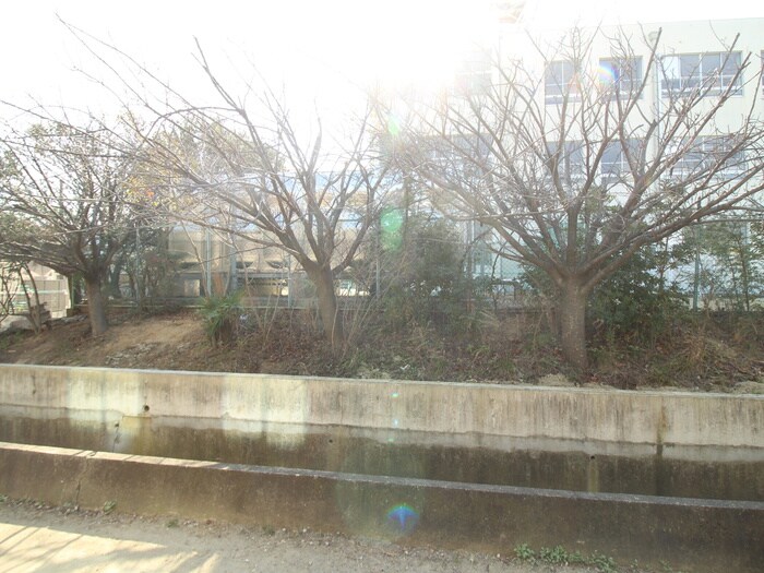 物件内観写真20　(室内からの展望)