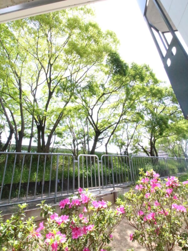 室内からの展望