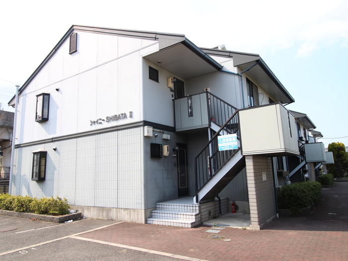 シャイニーＳＨＩＢＡＴＡⅡ