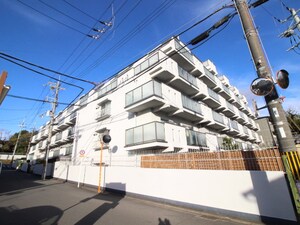 デラシオン御室(316)外観写真