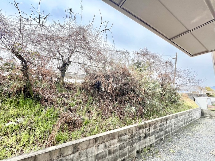 物件内観写真17　(室内からの展望)