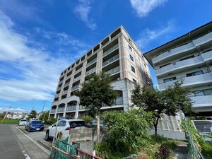ゼンコ－コ－ポラス８番館外観写真